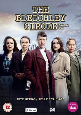 布莱切利四人组 第二季 The Bletchley Circle Season 2 (2014)海报