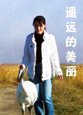 遥远的美丽 (2008)海报