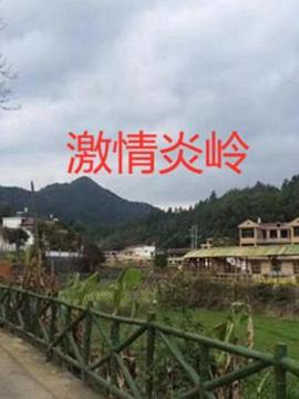 激情炎岭 (2012)海报