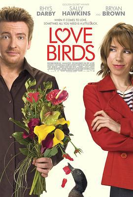 爱情鸟 Love Birds (2011)海报
