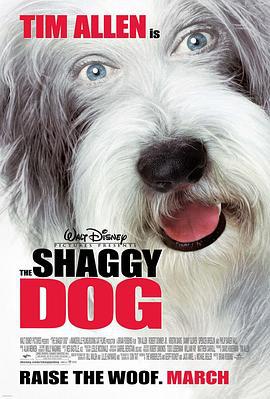 长毛狗 The Shaggy Dog (2006)海报