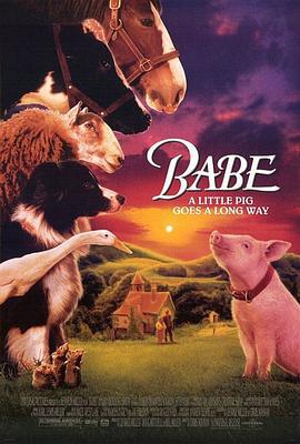 小猪宝贝 Babe (1995)海报