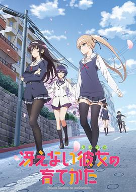 路人女主的养成方法 冴えない彼女の育てかた (2015)海报