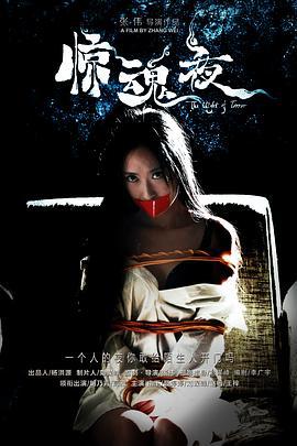 惊魂夜 (2016)海报