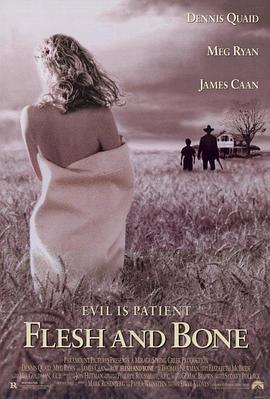 无情大地有情天 Flesh and Bone (1993)海报