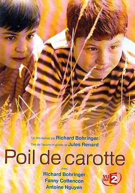 红发 Poil de carotte (2003)海报
