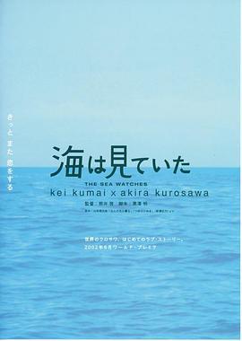 大海作证 海は見ていた (2002)海报