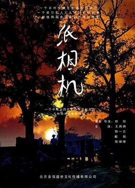 纸相机 (2007)海报