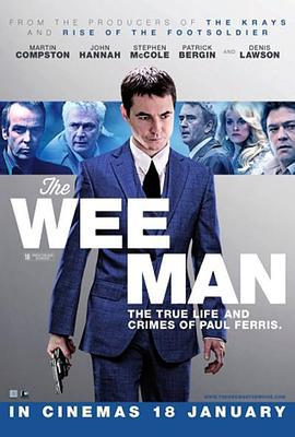 接班人 The Wee Man (2013)海报