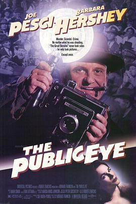 公众之眼 The Public Eye (1992)海报