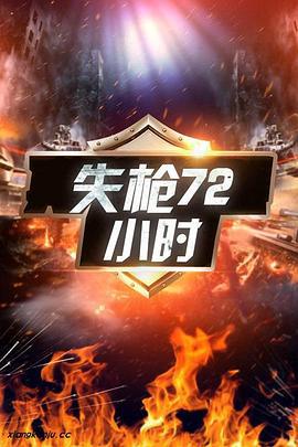 失枪72小时 (2003)海报