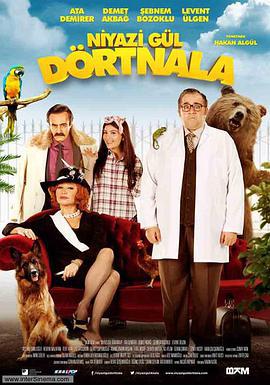 尼亚孜.古尔历险记 Niyazi Gül Dörtnala (2015)海报