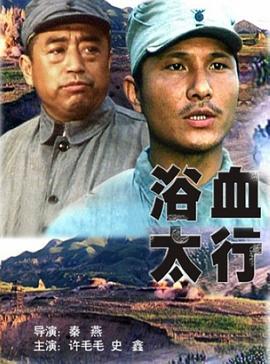 浴血太行 (1996)海报