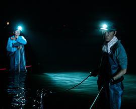 降河洄游 (2020)海报