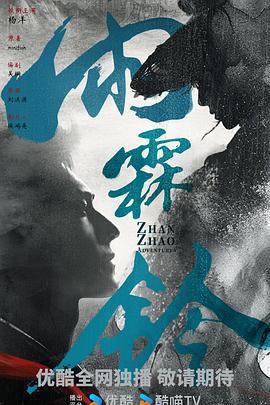 雨霖铃 (2025)海报