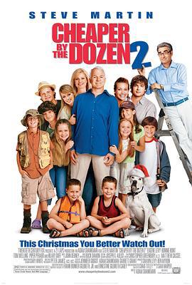 儿女一箩筐2 Cheaper by the Dozen 2 (2005)海报