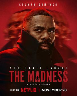 狂乱世道 The Madness (2024)海报