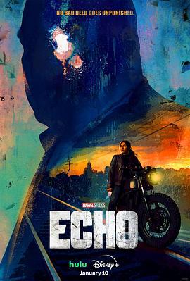 回声 Echo (2024)海报