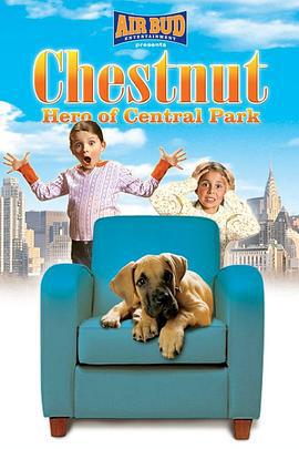 切斯纳特：中央公园的英雄 Chestnut: Hero of Central Park (2004)海报