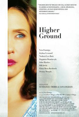 更高境界 Higher Ground (2011)海报