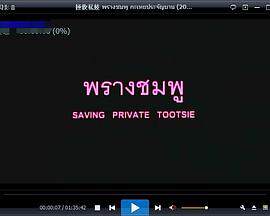 私妓海报
