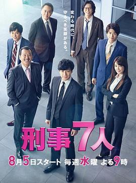 刑事7人 第六季 刑事7人 season VI (2020)海报
