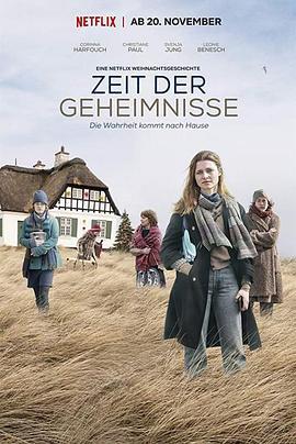 佳节秘事 Zeit der Geheimnisse (2019)海报