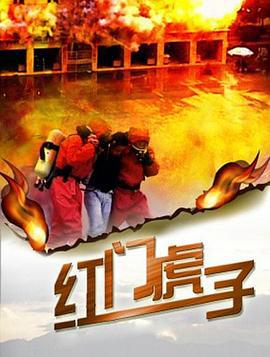 红门虎子 (2011)海报
