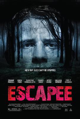 逃犯 Escapee (2011)海报
