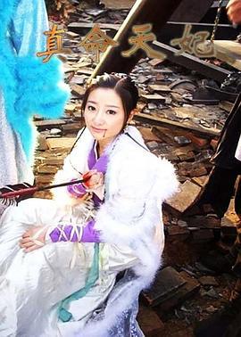 真命天妃 (2010)海报