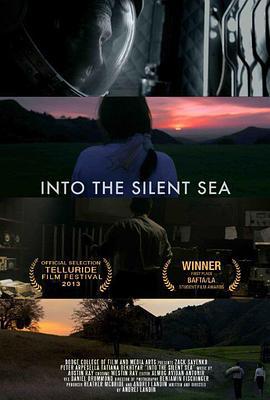 寂静之海 Into the Silent Sea (2013)海报