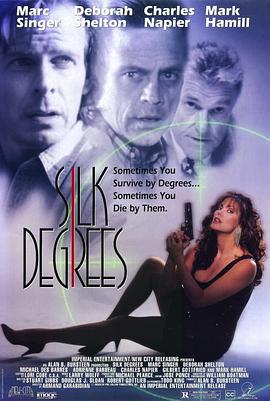 豪门情仇 Silk Degrees (1994)海报
