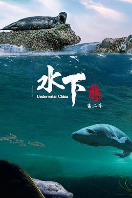 水下中国 第二季 (2024)海报