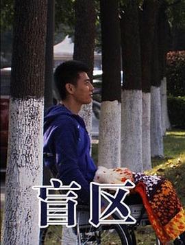 盲区 (2013)海报