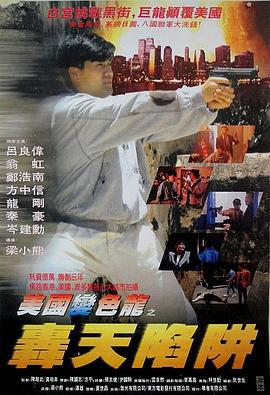 虎穴屠龙之轰天陷阱 虎穴屠龍之轟天陷阱 (1993)海报