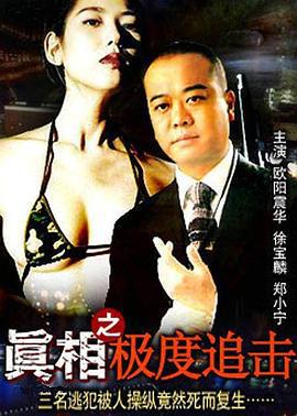 真相之极度追击 真相之極度追擊 (1993)海报
