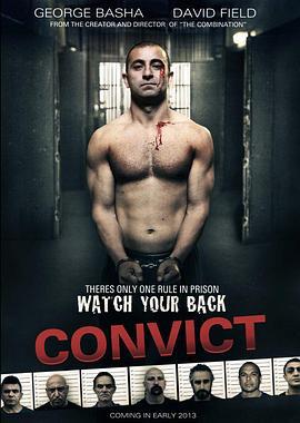 囚犯 Convict (2014)海报