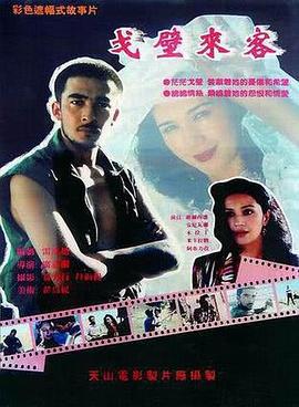 戈壁来客 (1995)海报