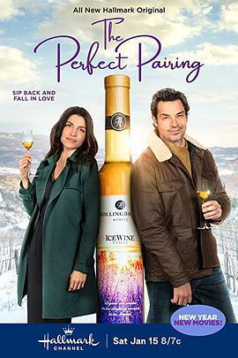 完美搭配 The Perfect Pairing (2022)海报