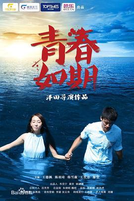 青春如期 (2013)海报