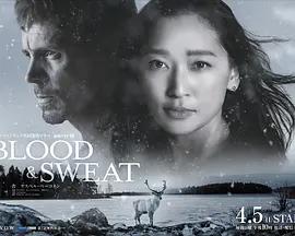 血与汗 BLOOD & SWEAT (2026)海报
