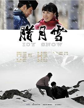 腊月雪 (2008)海报