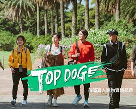 TOP DOG (2023)海报