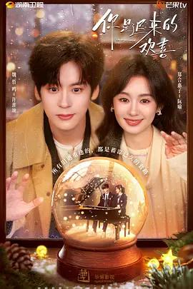 你是迟来的欢喜 (2026)海报