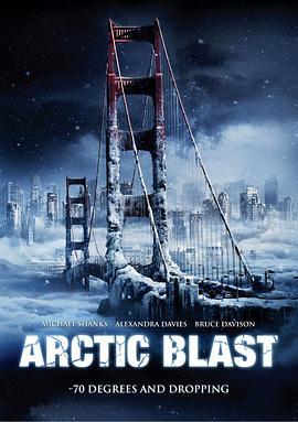 极地寒流 Arctic Blast (2010)海报