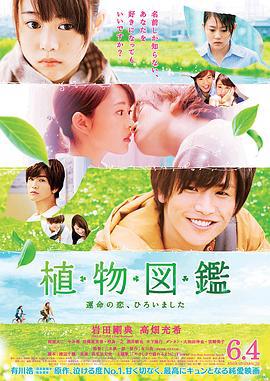 植物图鉴 植物図鑑 運命の恋ひろいました (2016)海报