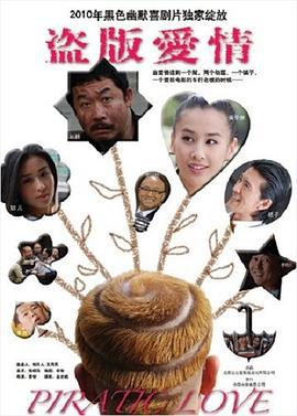 盗版爱情 (2009)海报