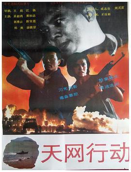 天网行动 (1994)海报