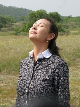 月亮之上 (2011)海报