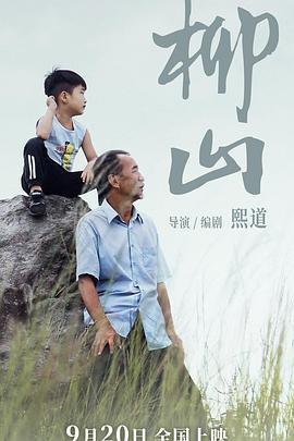 柳山 (2024)海报